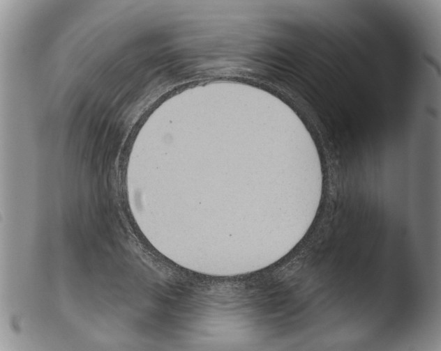 X0000103461031200810240944