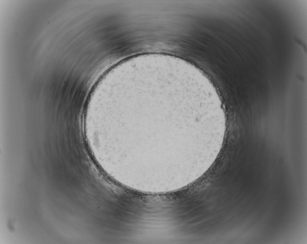 X0000103461032200810240945