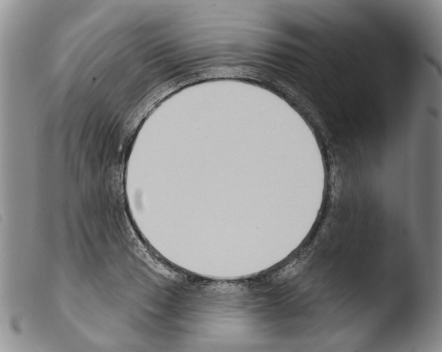 X0000103461033200810240945