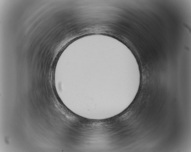 X0000103461035200810240945