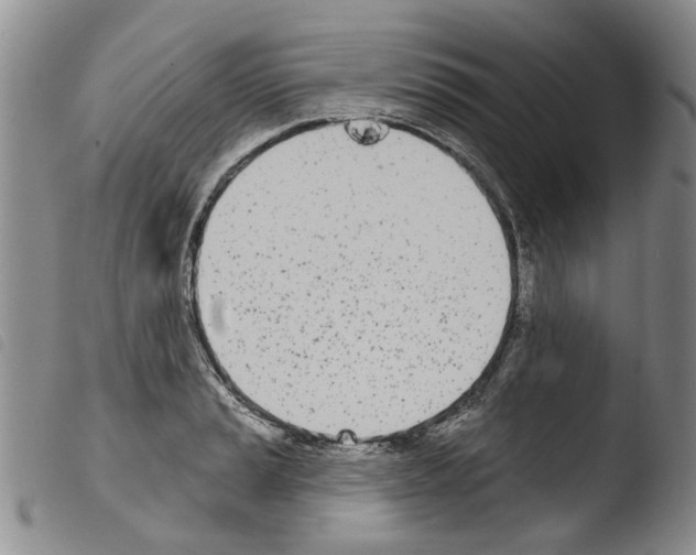 X0000103461037200810240945