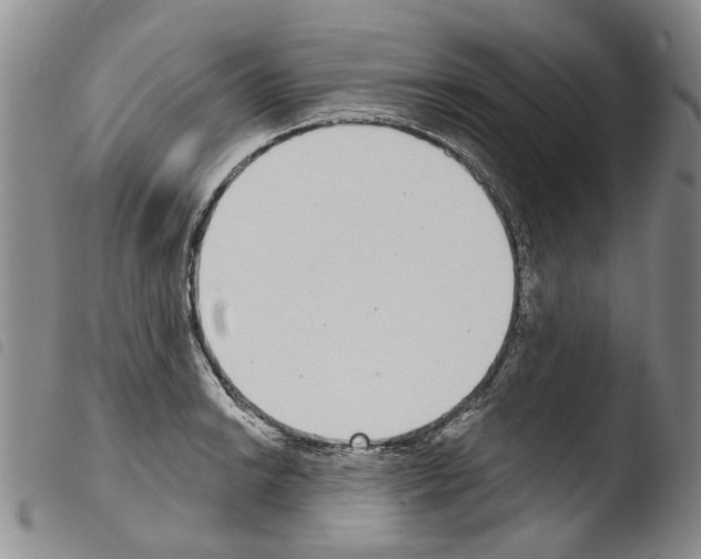 X0000103461038200810240945