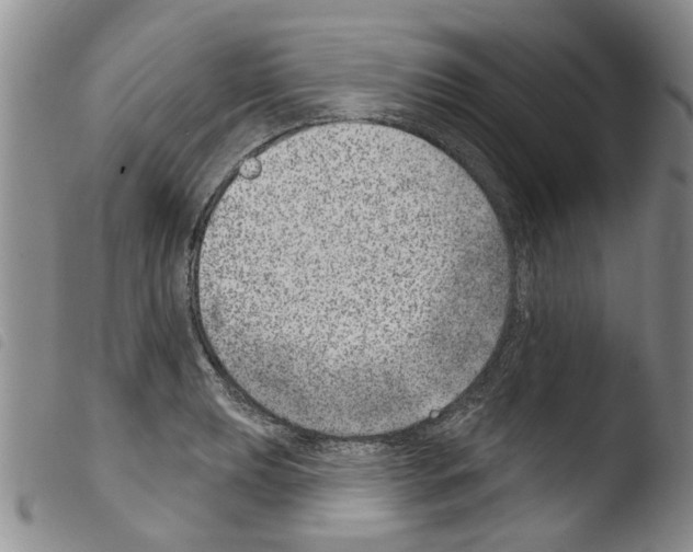 X0000103461039200810240945