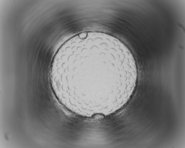 X0000103461040200810240945