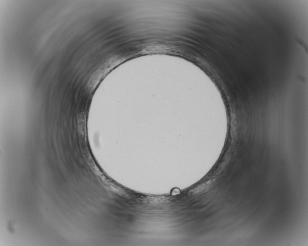X0000103461041200810240945