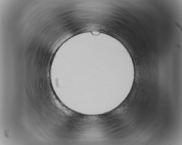 X0000103461042200810240945