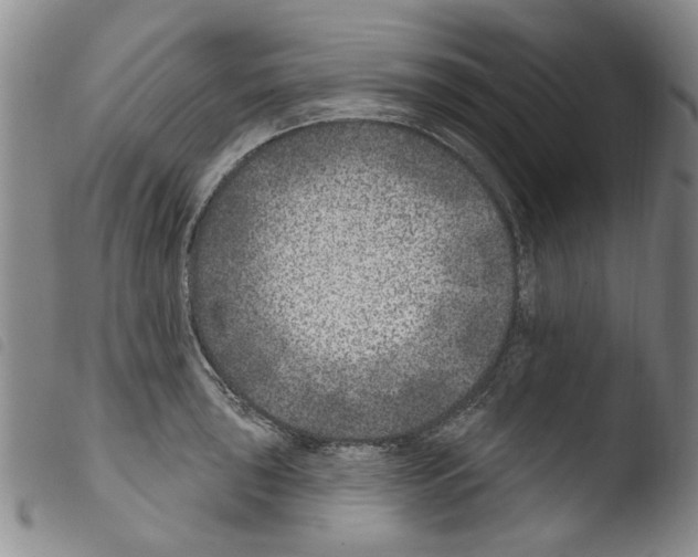 X0000103461043200810240945