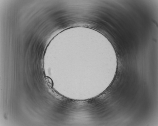 X0000103461044200810240945