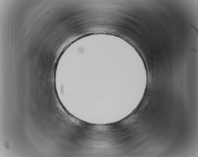 X0000103461045200810240945