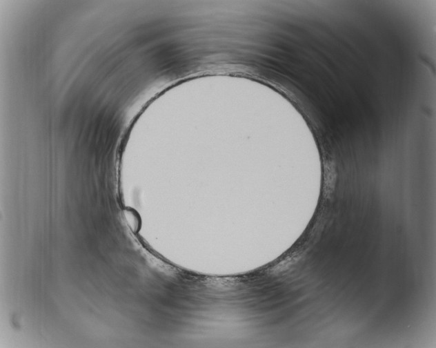 X0000103461046200810240945