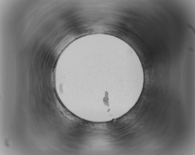 X0000103461047200810240945
