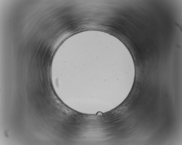 X0000103461048200810240945
