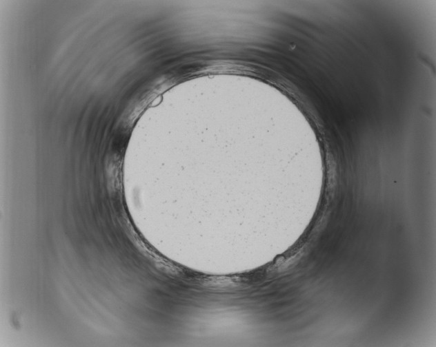 X0000103461049200810240945