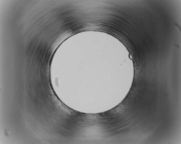 X0000103461050200810240945