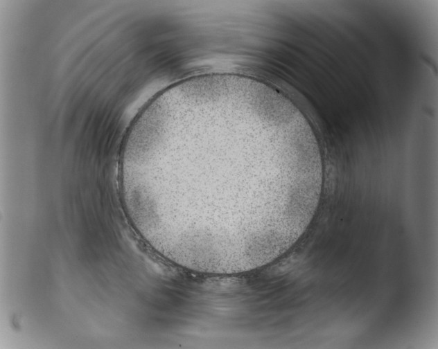 X0000103461051200810240945