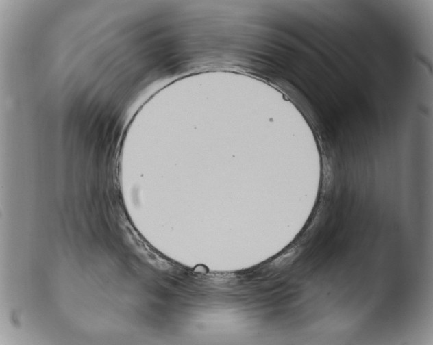X0000103461052200810240945