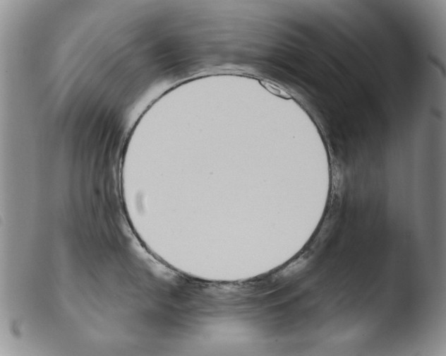 X0000103461054200810240945