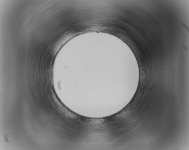 X0000103461055200810240945