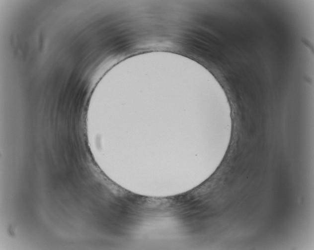 X0000103461056200810240945