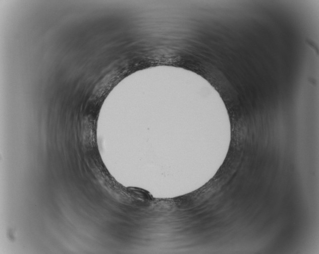 X0000103461058200810240944