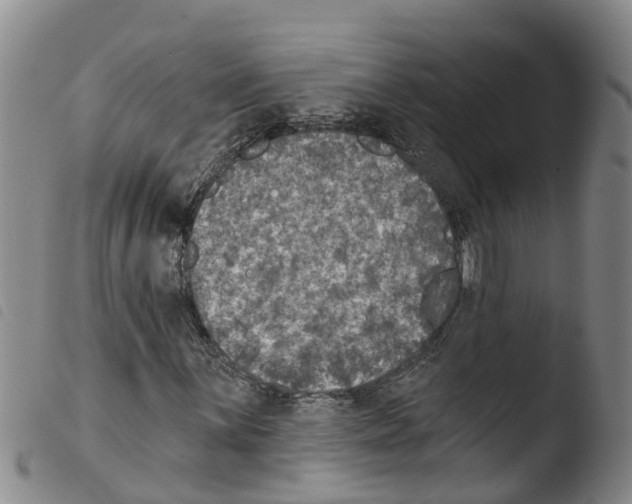 X0000103461059200810240944
