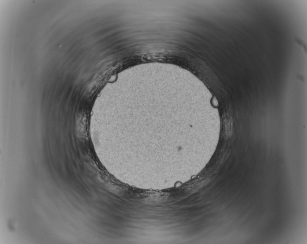 X0000103461060200810240944