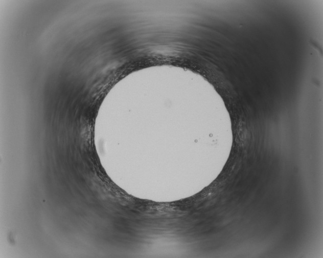 X0000103461061200810240944