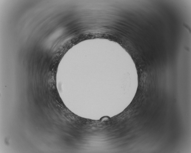 X0000103461062200810240944