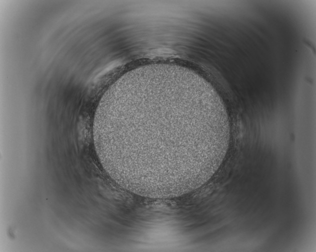 X0000103461063200810240944