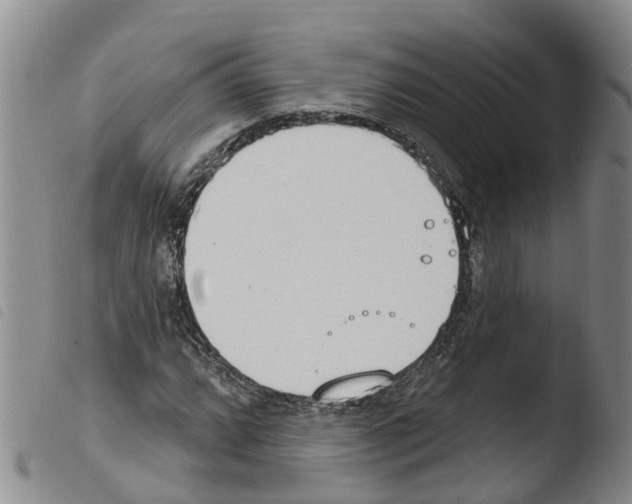 X0000103461064200810240944