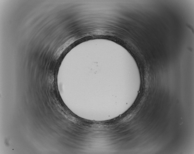 X0000103461065200810240944
