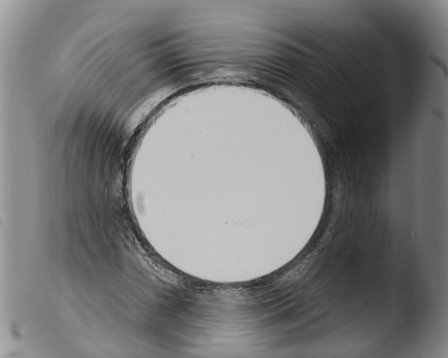 X0000103461066200810240944
