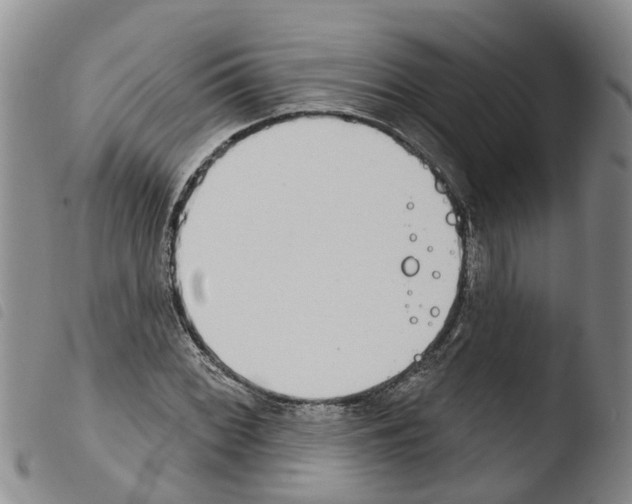 X0000103461068200810240944