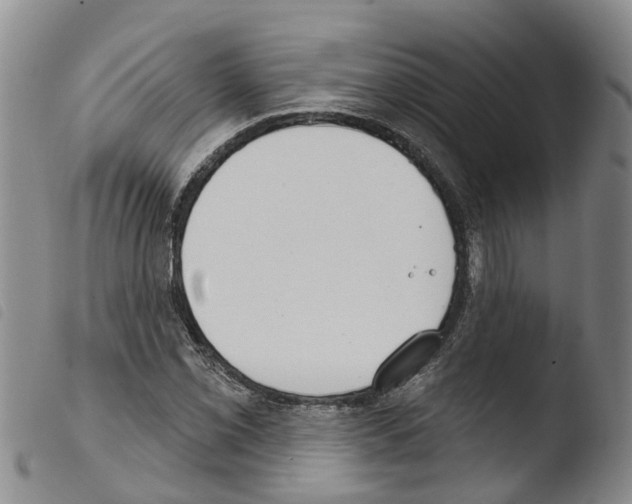 X0000103461069200810240944