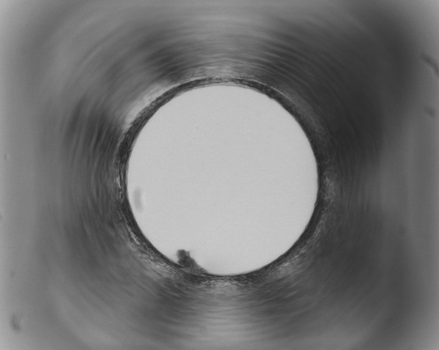 X0000103461070200810240944