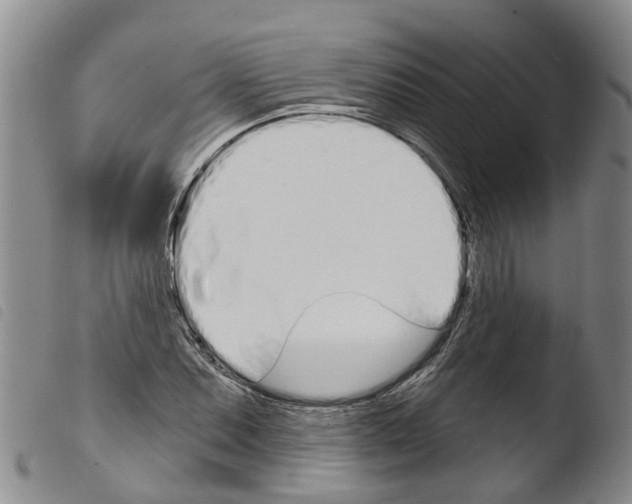 X0000103461071200810240944