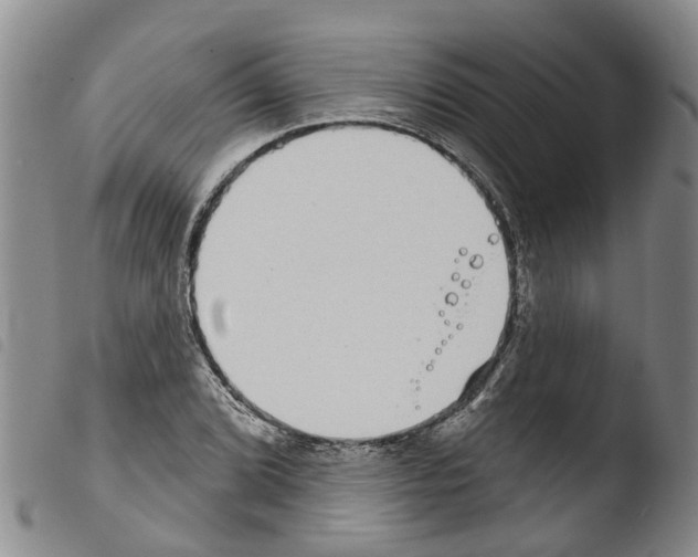 X0000103461072200810240944