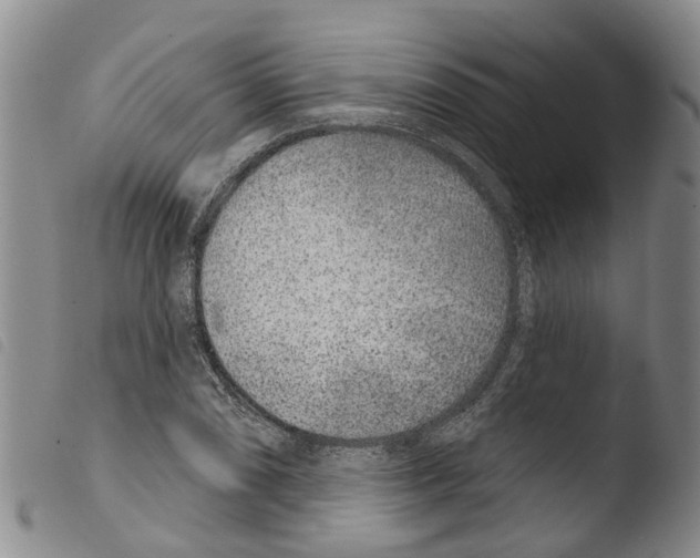 X0000103461074200810240944