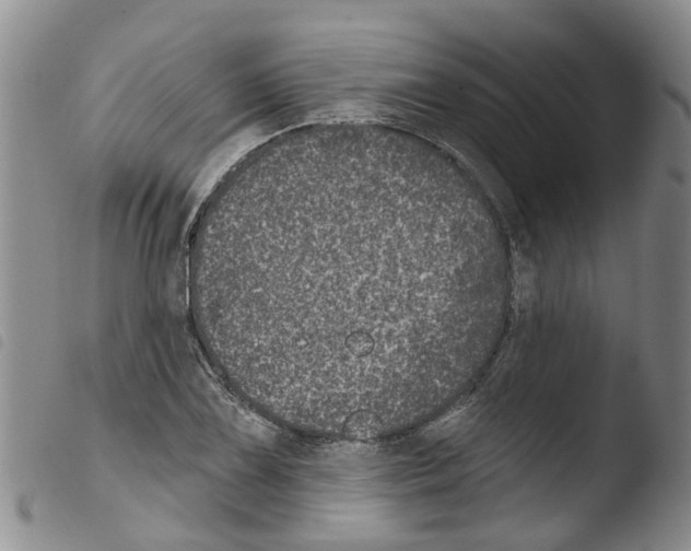 X0000103461075200810240944