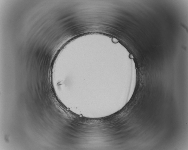 X0000103461076200810240944
