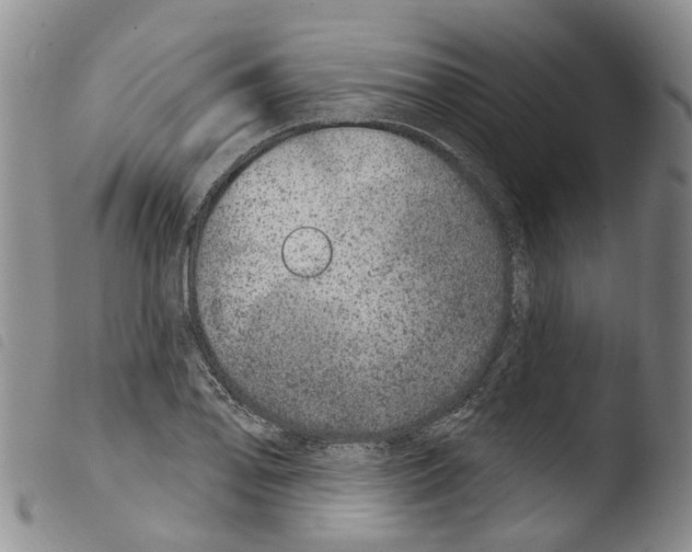 X0000103461078200810240944