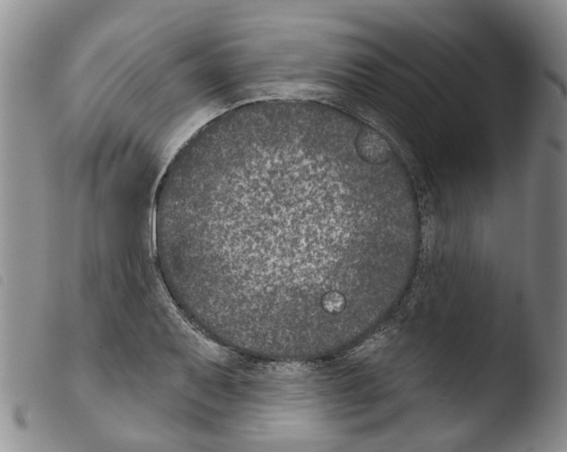 X0000103461079200810240944