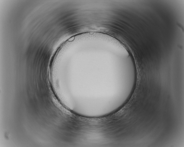 X0000103461080200810240944