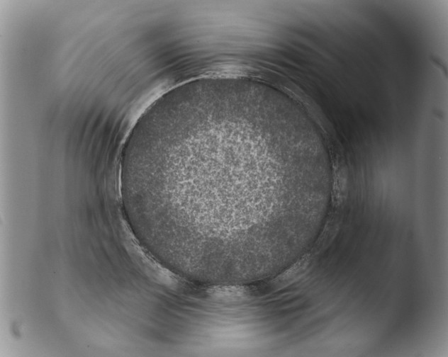 X0000103461083200810240944