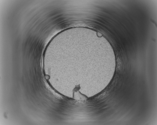 X0000103461084200810240944