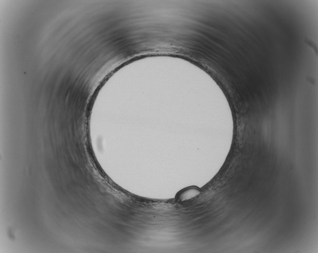 X0000103461085200810240944