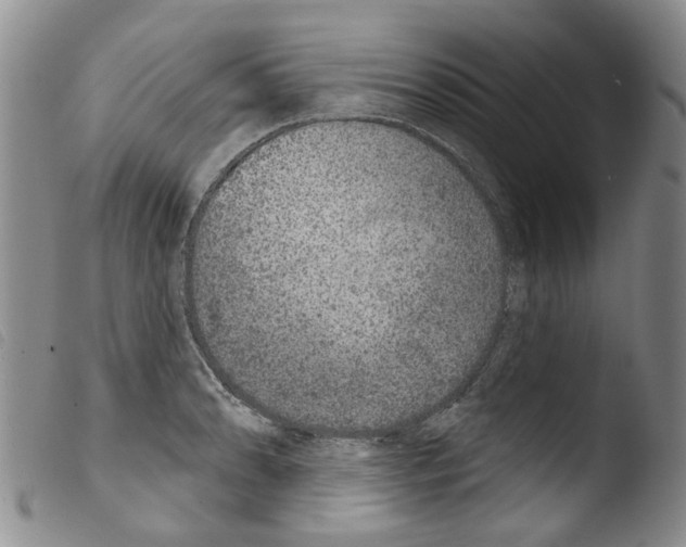 X0000103461086200810240944