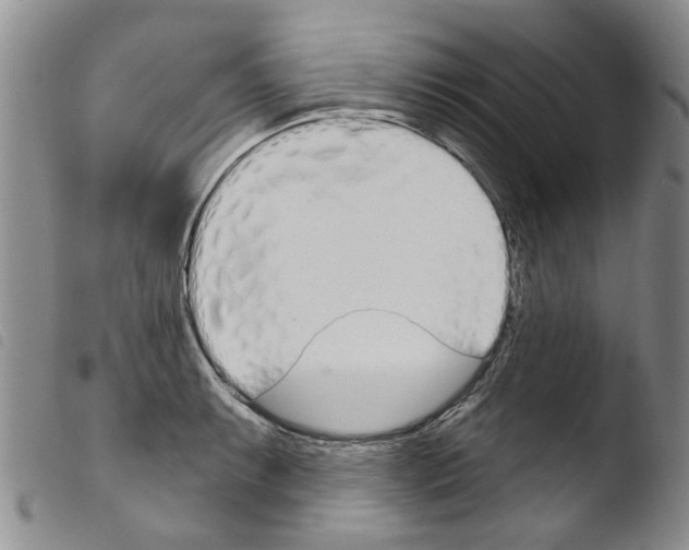 X0000103461087200810240944
