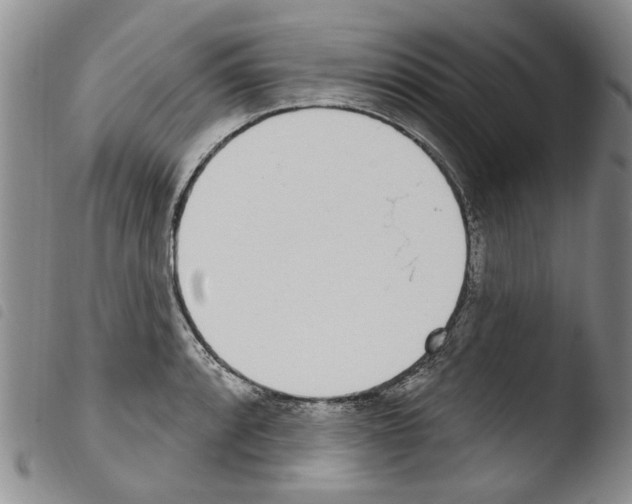 X0000103461088200810240944