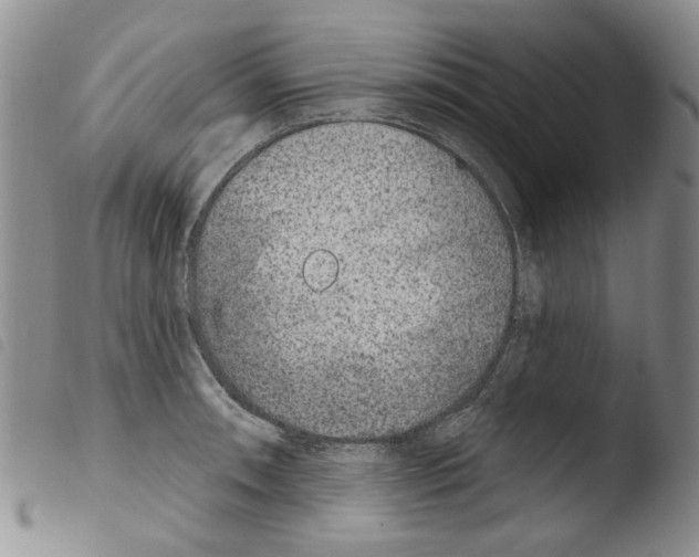 X0000103461090200810240944